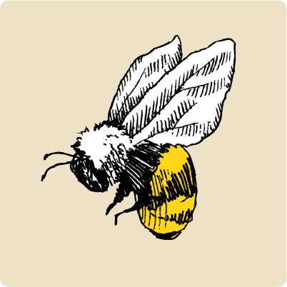 Illustrated bee