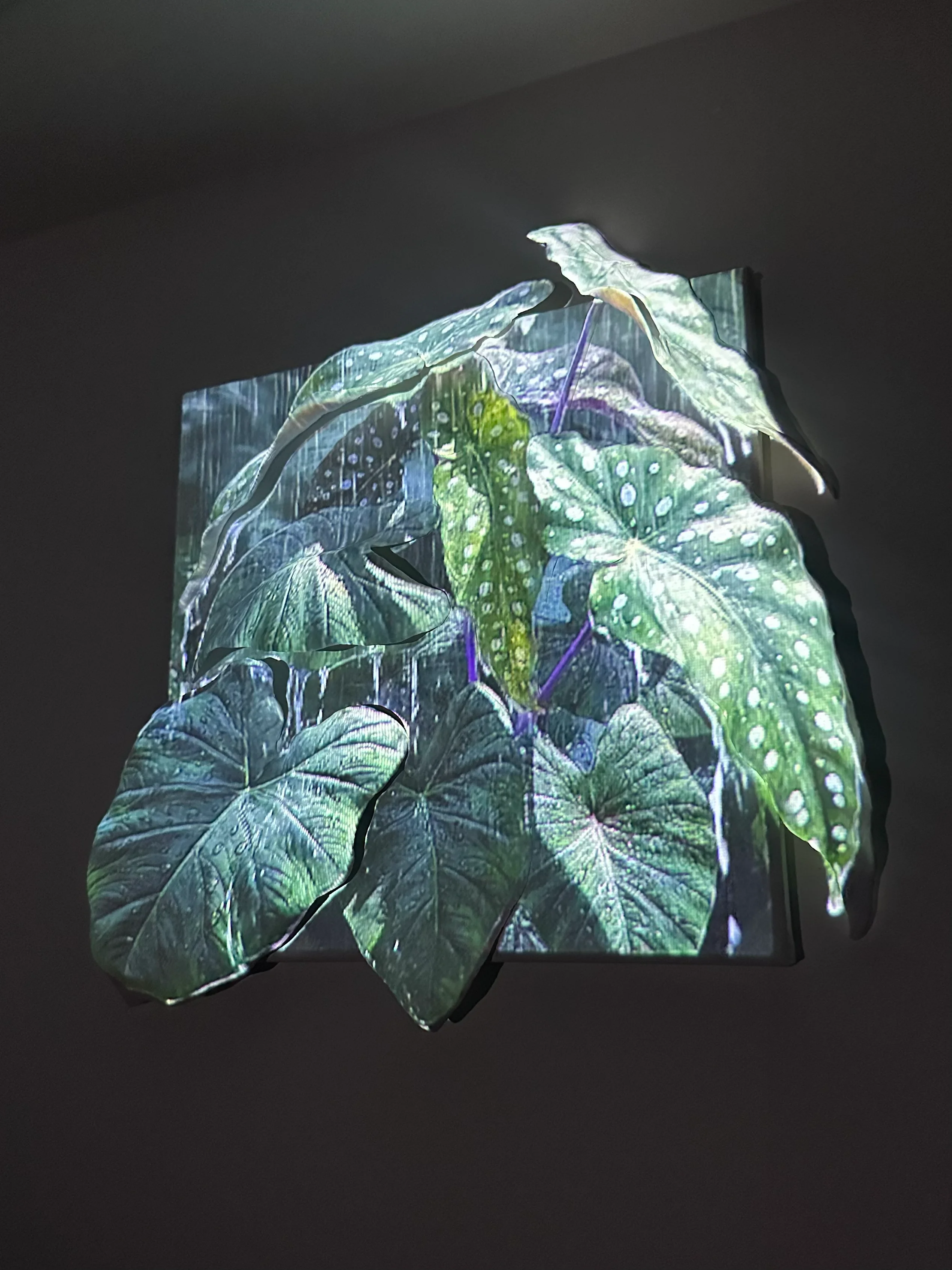 Plant Mapping green lighting